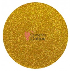 Glitter fin pentru make-up 3gr Sclipici Amelie Pro G049 Gold cu Reflexii